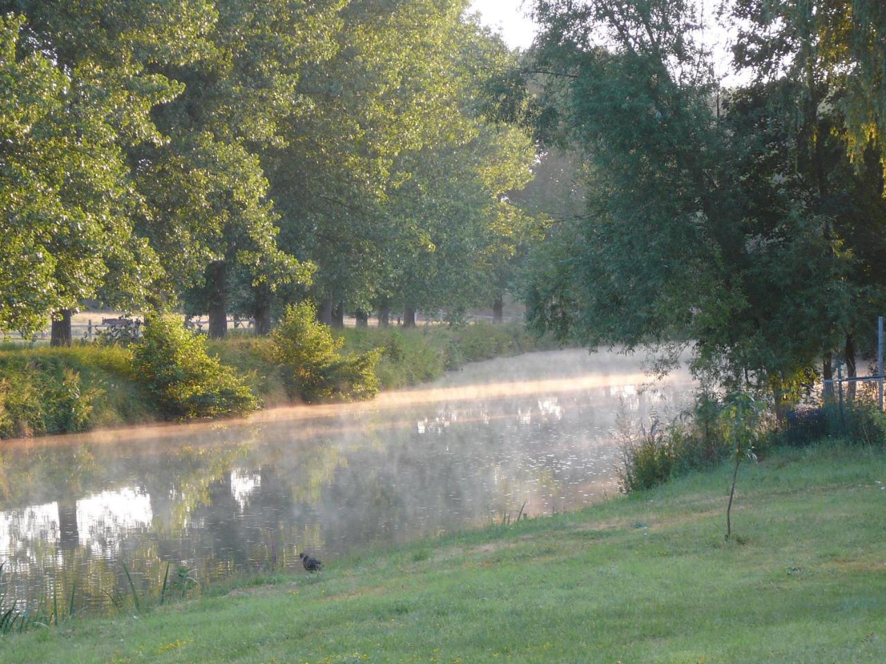 Au Crapaud Charmant Merbes-le-Château Esterno foto